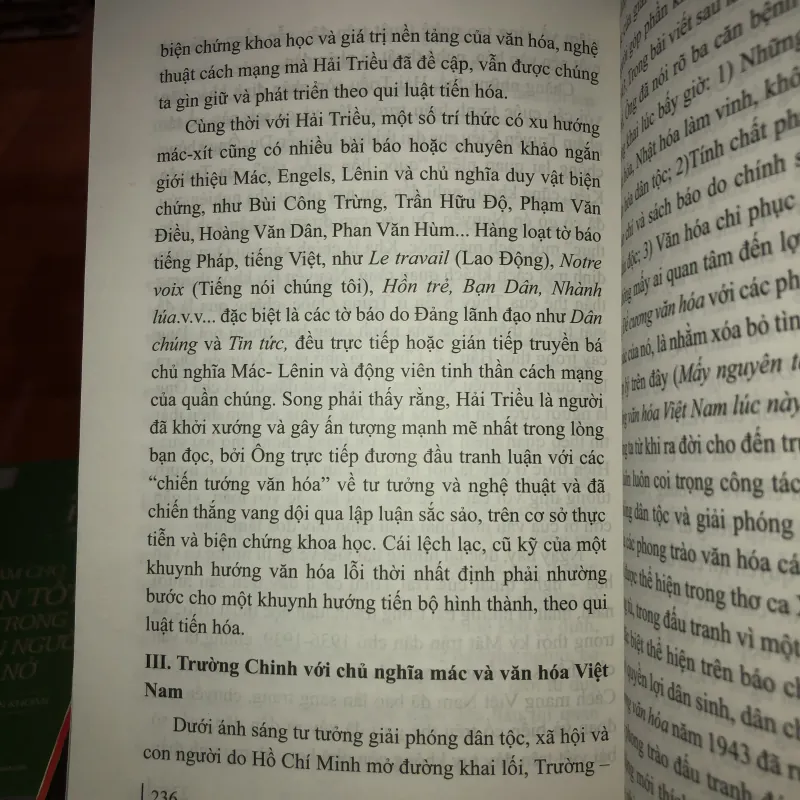Văn hóa - Mấy vấn đề từ giai đoạn bản lề (Cuối thế kỷ XIX - đầu thế kỷ XX) 993267
