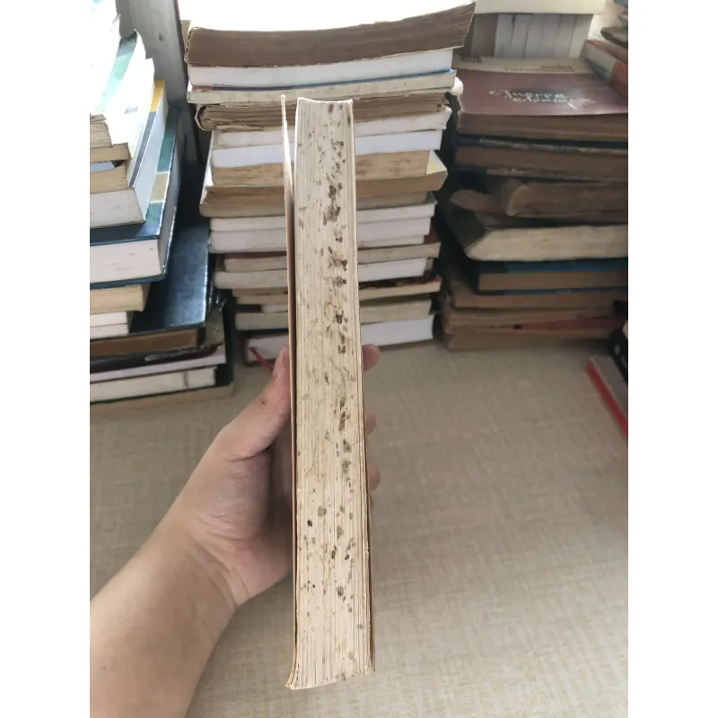 Giang Thanh toàn truyện(Hồng Đô nữ hoàng)-Diệp Vĩnh Liệt 961613