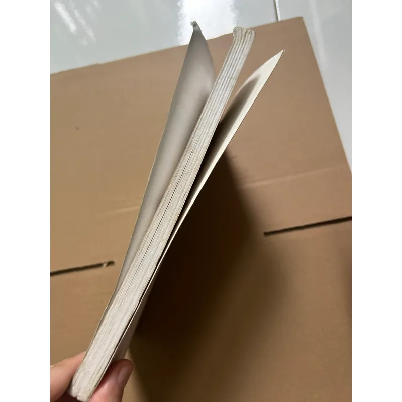 Giáo trình lý thuyết xã hội học hiện đại 622493