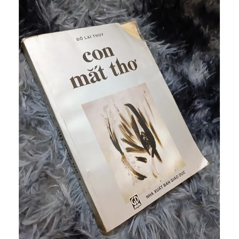 Con mắt thơ (Đỗ Lai Thúy) 1023961