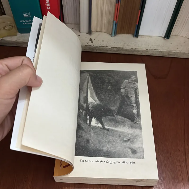 II Văn Học Thiếu Nhi: KAZAN - James Oliver Curwood - Đặng Việt Vân Hà (Dịch) - 2019 709224