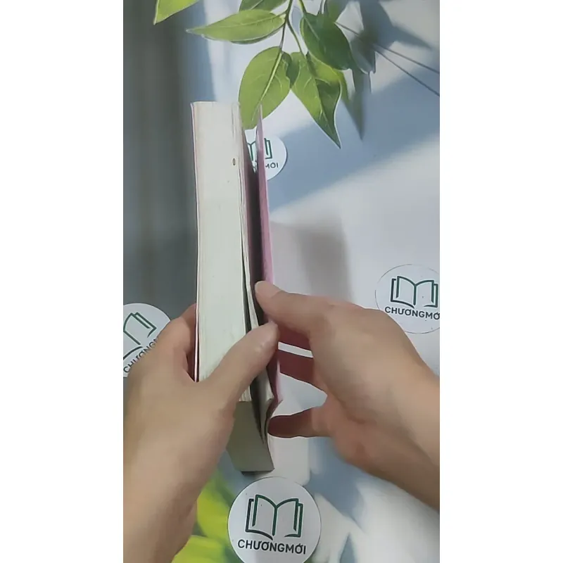 Nhật ký lấy chồng - Nhân Hải Trung 688623