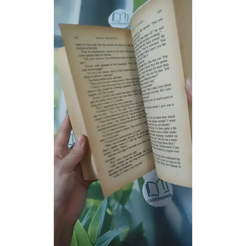 Morrigan's Cross - Nora Roberts 1027229