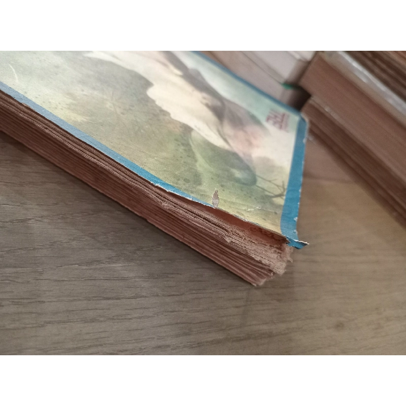 Ngọc trong đá - Nguyễn Đông Thức 175224