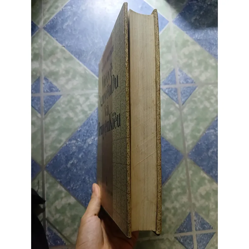 Viết về Nguyễn Du và truyện Kiều - Nguyễn Trí Tích 927799