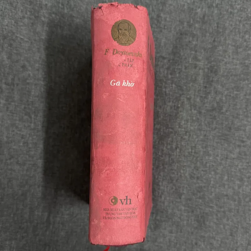 Gã khờ - Fyodor Dostoevsky 785504