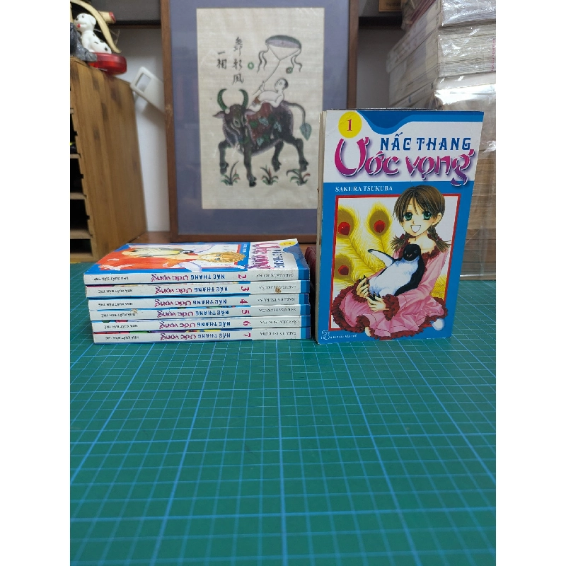 TRUYỆN TRANH NẤC THANG ƯỚC VỌNG - Sakura Tsukuba 274275