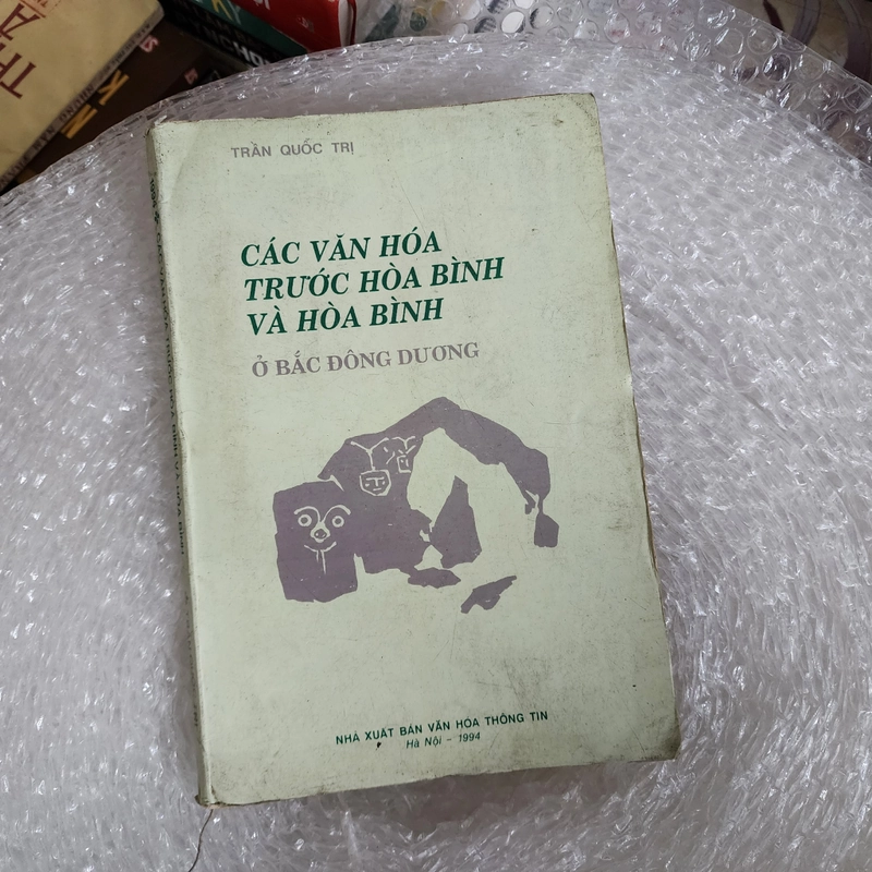 Các văn hóa trước Hòa Bình ở Bắc Đông Dương 416223