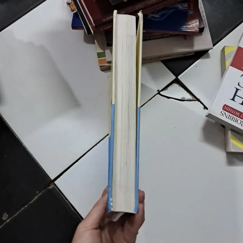 Lược sử thế giới 1028747