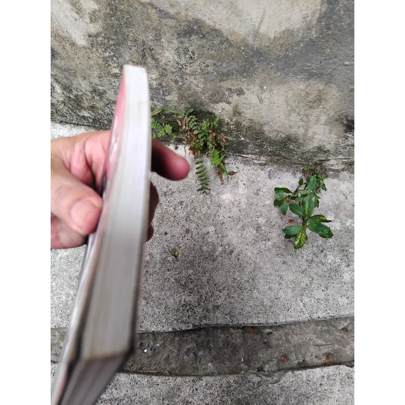 Bóng đè tập truyện của Đỗ Hoàng Diệu  1029199