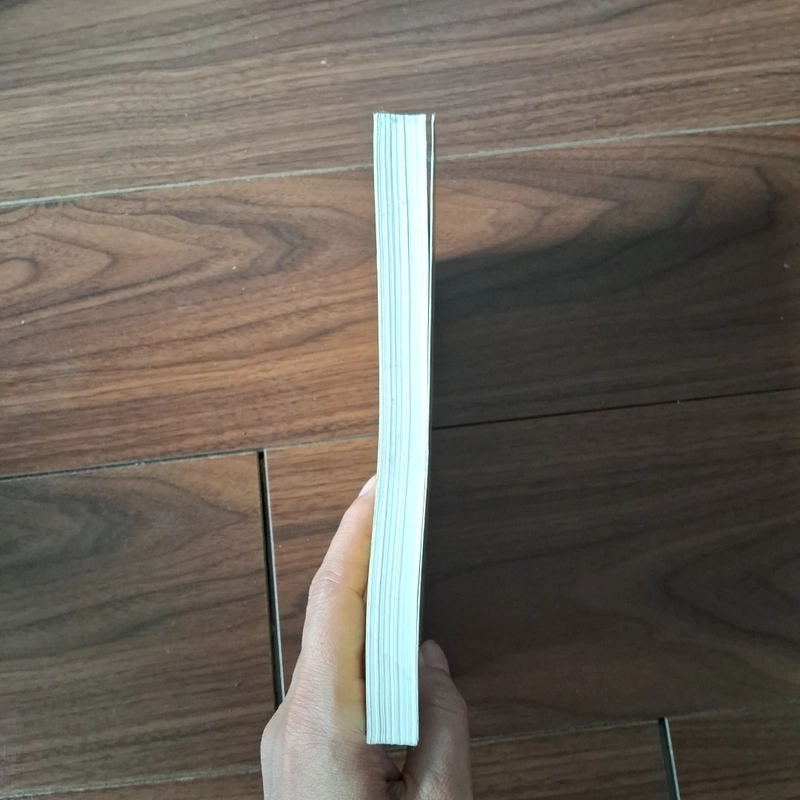 Vụ đánh cắp thế kỉ 525001