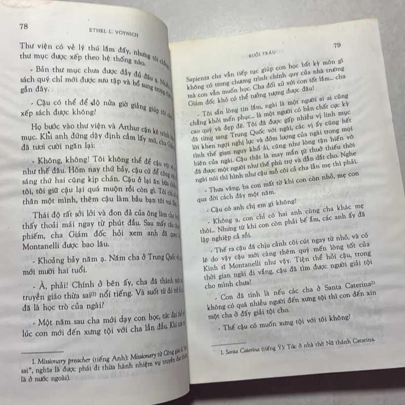 Ruồi Trâu (có ẩm) 791930