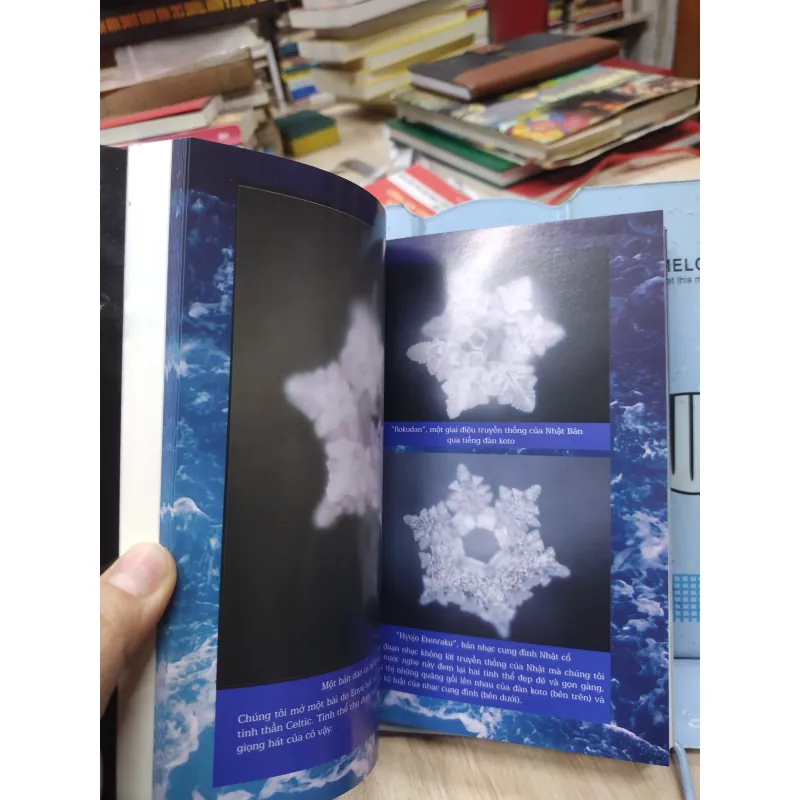 Sách: Bí mật của nước - TG: Masaru Emoto (B1) 782851