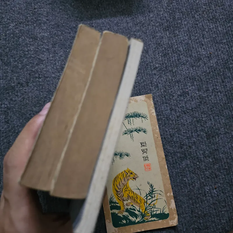 Sách tiếng Pháp Romain Gary 740722