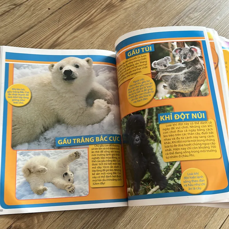 125 loài động vật đáng yêu - sách in màu đẹp cho bé 639924