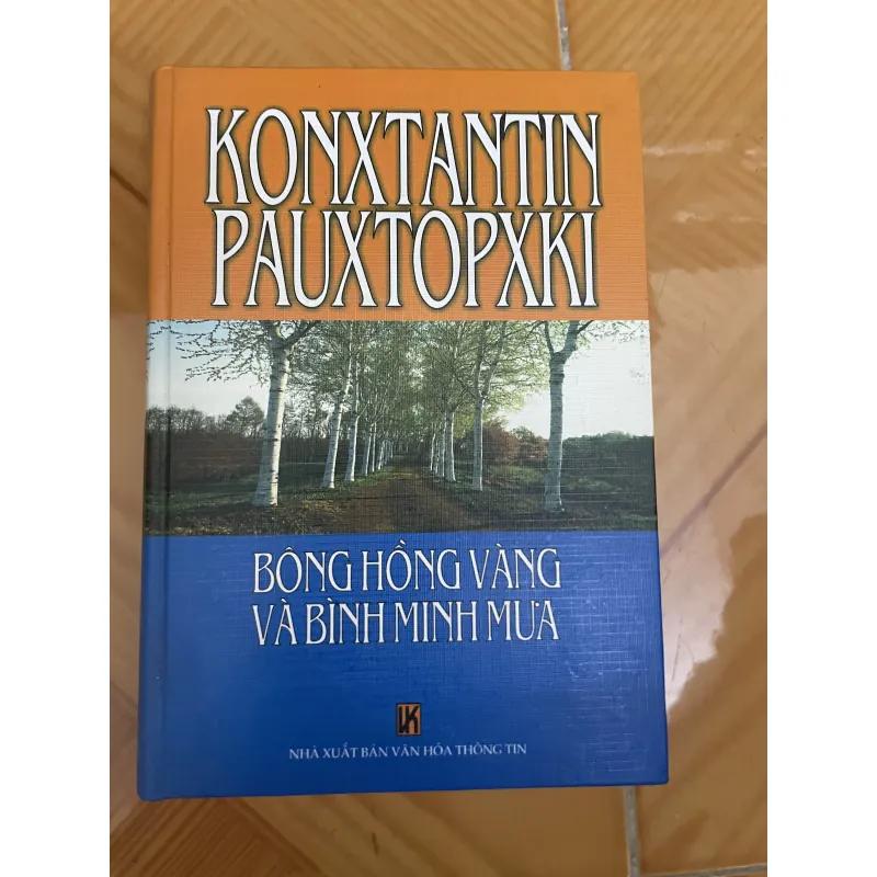 Bông hồng vàng và Bình minh mưa 1010894