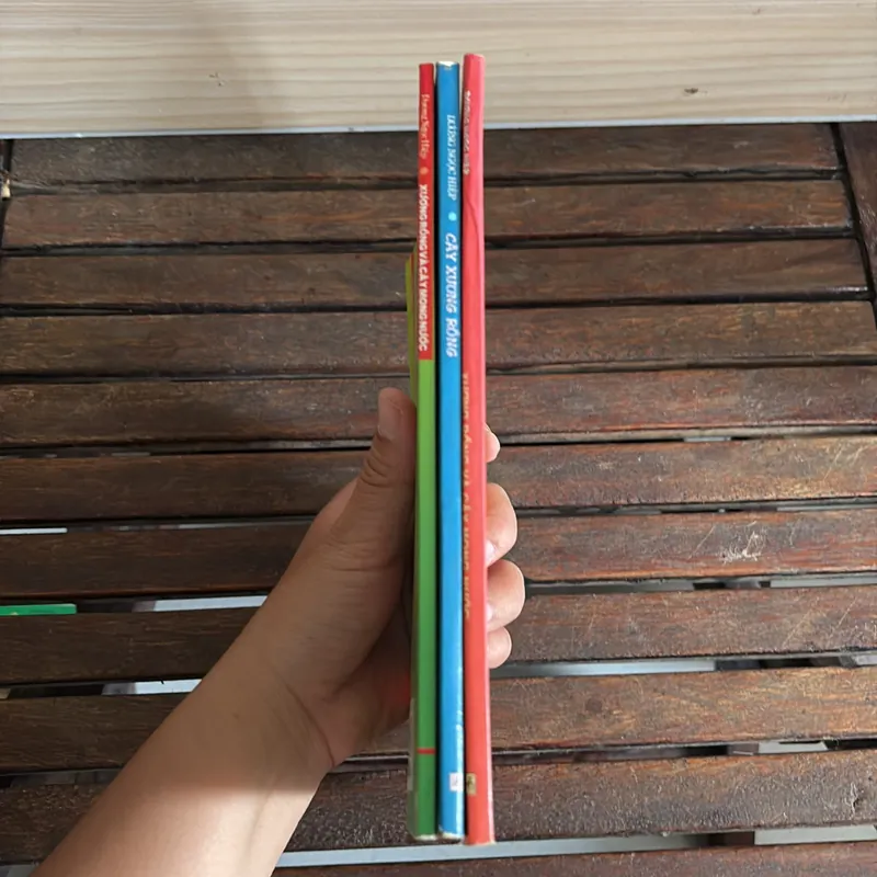 II Cây Cảnh: Xương Rồng Và Cây Mọng Nước (Sách Màu) - Dương Ngọc Hiệp 718583