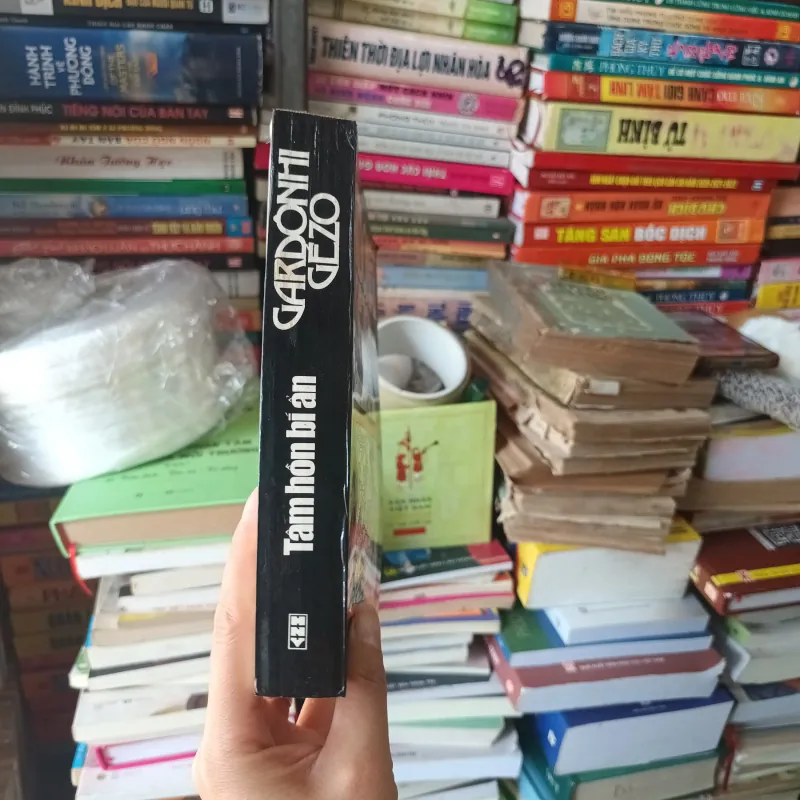 Tâm Hồn Bí Ẩn - Gardonhi Gezo 958112