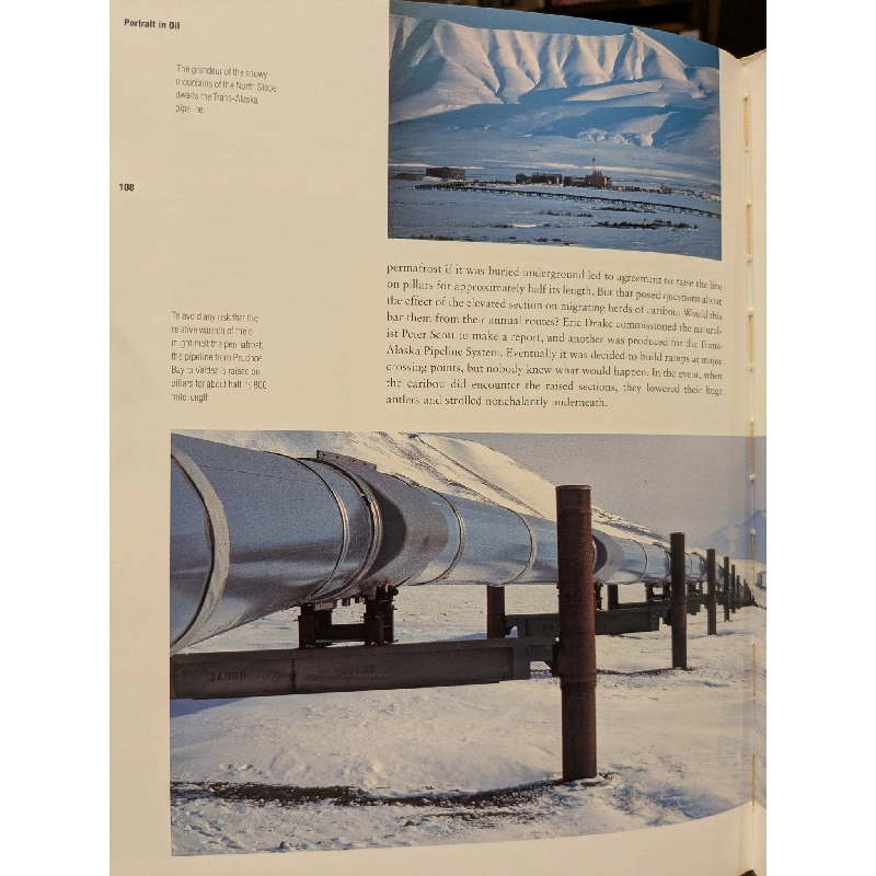 Portrait in Oil - Berry Ritchie 1005854