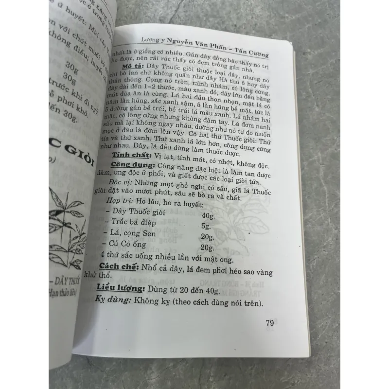 TỰ CHỮA BỆNH BẰNG CÂY THUỐC NAM THÔNG DỤNG DỄ TÌM - TẤN CƯỜNG, NGUYỄN VĂN PHẤN 785861