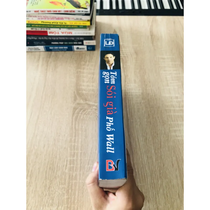 SÓI GIÀ PHỐ WALL 1022316