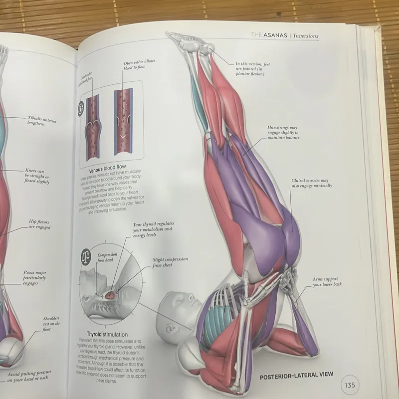 Science of yoga 713724