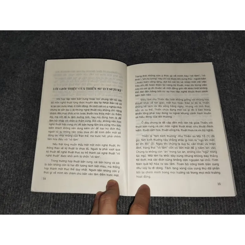 THIỀN & VÕ ĐẠO 991049