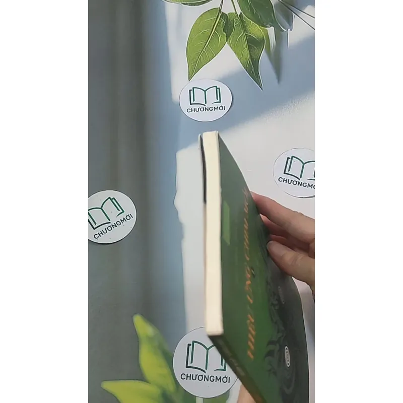 Hiệu ứng chim mồi 1 - Hạo Nhiên 688510