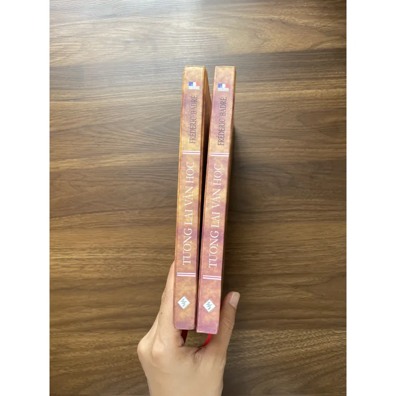 Tương lai văn học - Frédéric Badré  972030