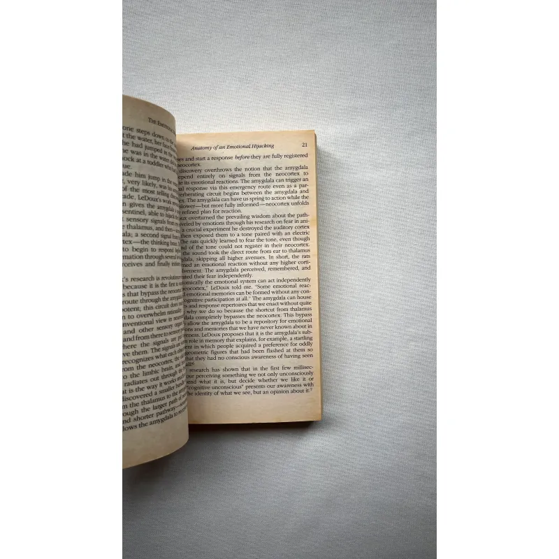 Emotional Intelligence - Daniel Goleman 1028884