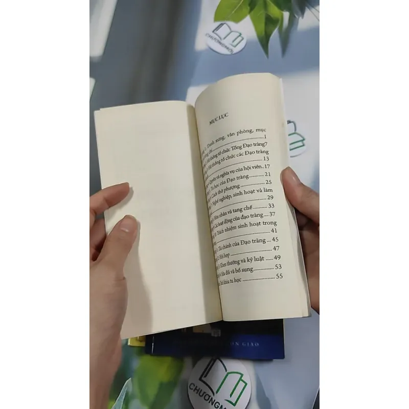 Combo: Tu Nhà, Thanh Quy Dành Cho Người Tại Gia, Kinh Nhân Quả Ba Đời, Kinh A Di Đà Nghĩa - Thích Chân Tính 776173