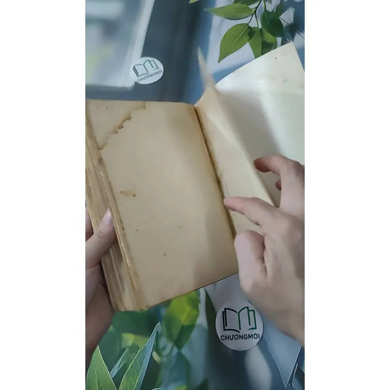 [MIỄN PHÍ BỌC SÁCH] [XƯA] Bàn Có Năm Chỗ Ngồi (1994) - Nguyễn Nhật Ánh 997850