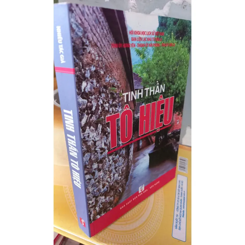 tinh thần TÔ HIỆU 992181