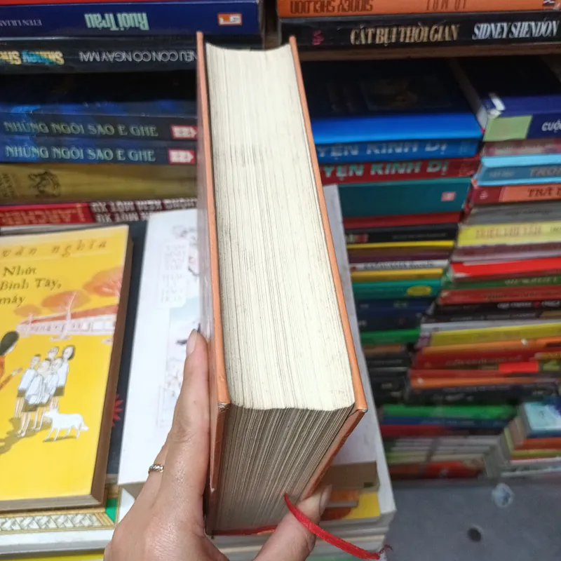 Di Chúc Hoa Ti Gôn- Trương Tư Tần Quỳnh 702797