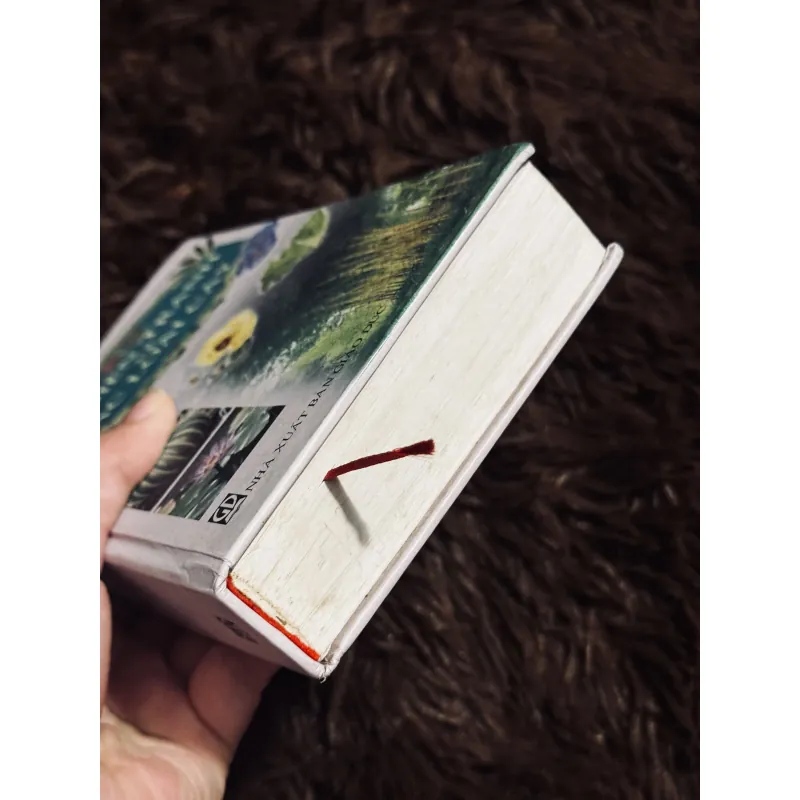 Từ điển tranh về các loài cây 932519