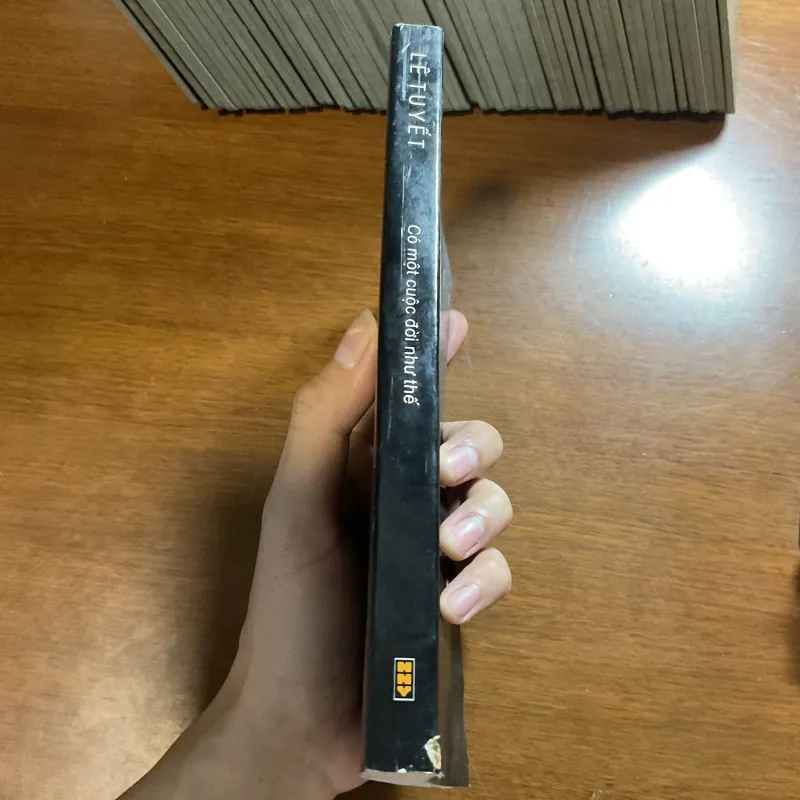 Có một cuộc đời như thế - Lê Tuyết 779115