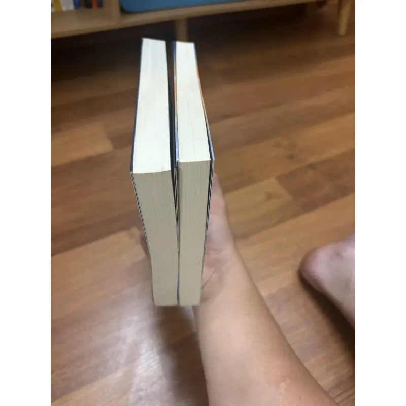 Combo Shari Lapena - Kẻ chủ mưu, Hung thủ quen mặt 797749