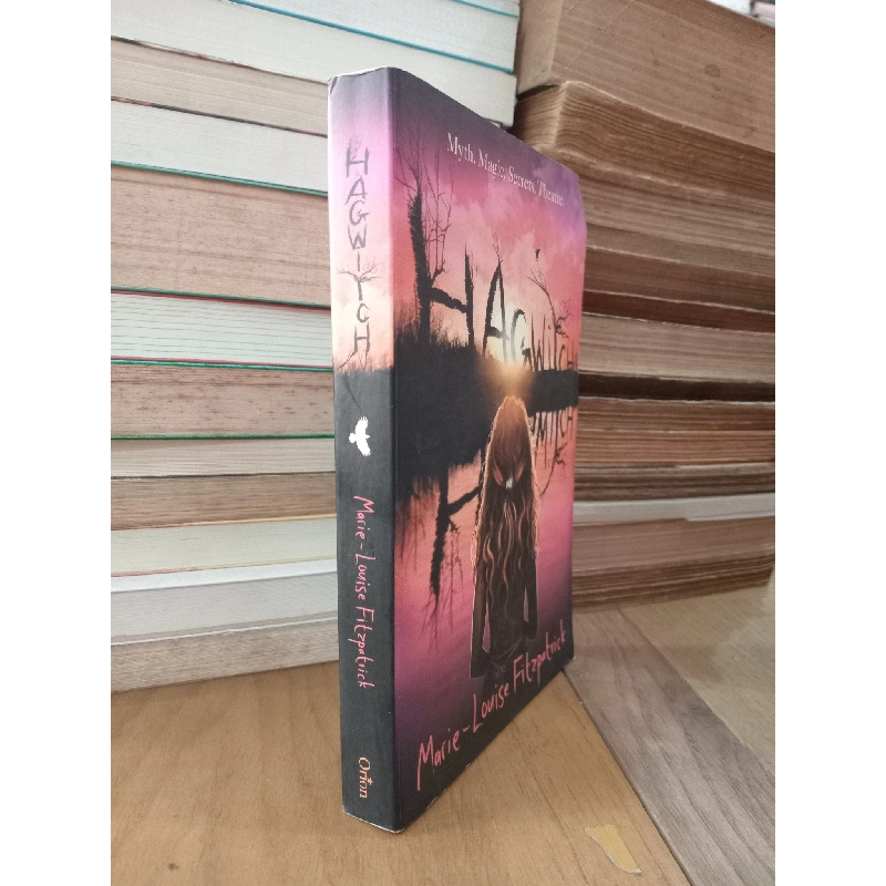 Hagwitch - Marie-Louise Fitzpatrick 789030
