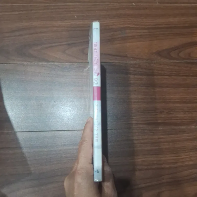 Ngàn năm chờ đợi 746459