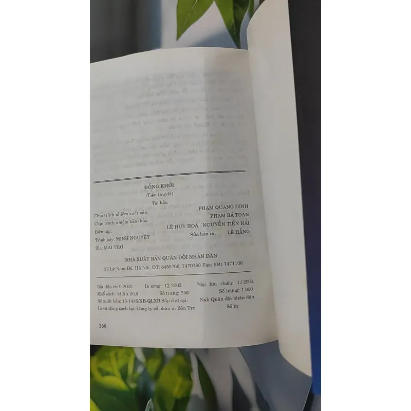 Đồng khởi - Bích Thuận 798375