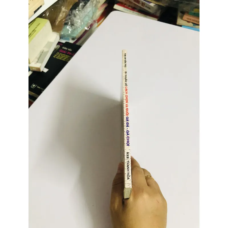 BÍ TRUYỀN VỀ CÁCH CHỌN VÀ NUÔI GÀ ĐÁ GÀ CHỌI 447866