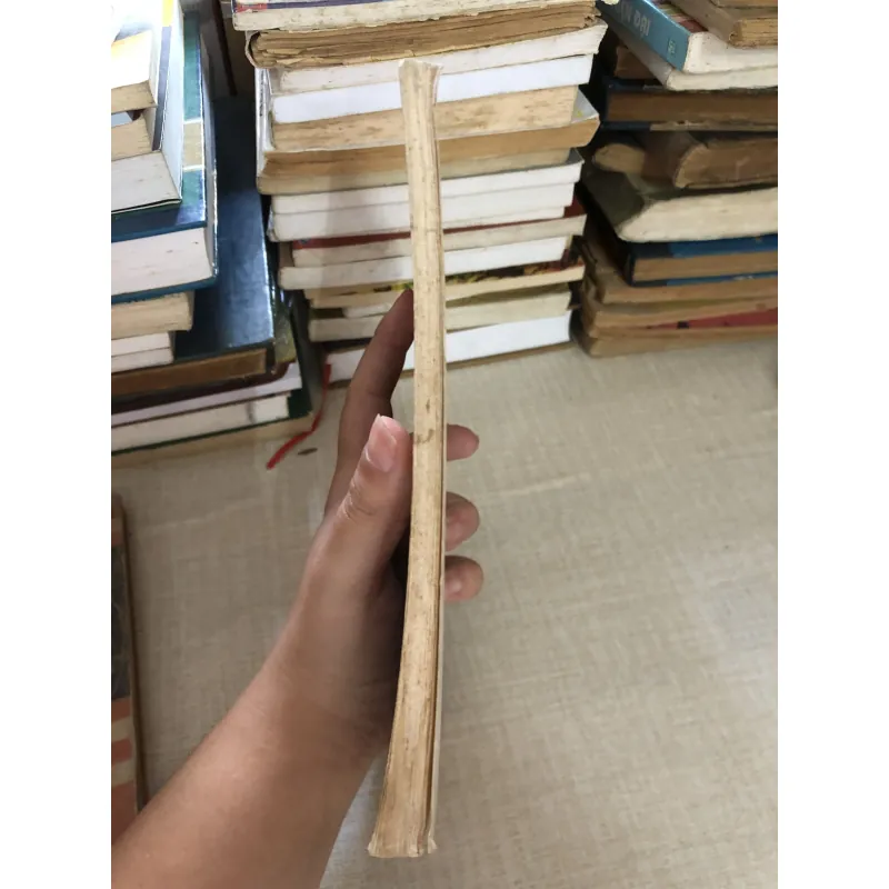 Hán học danh ngôn-Trần Lê Nhân 969994