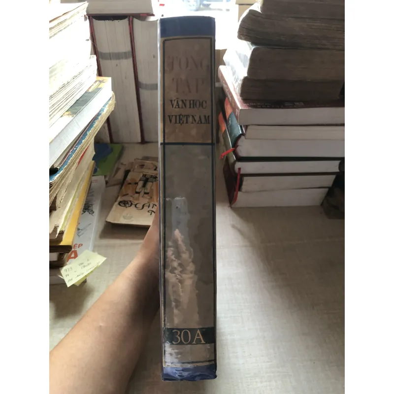 Tổng tập văn học Việt Nam 993263