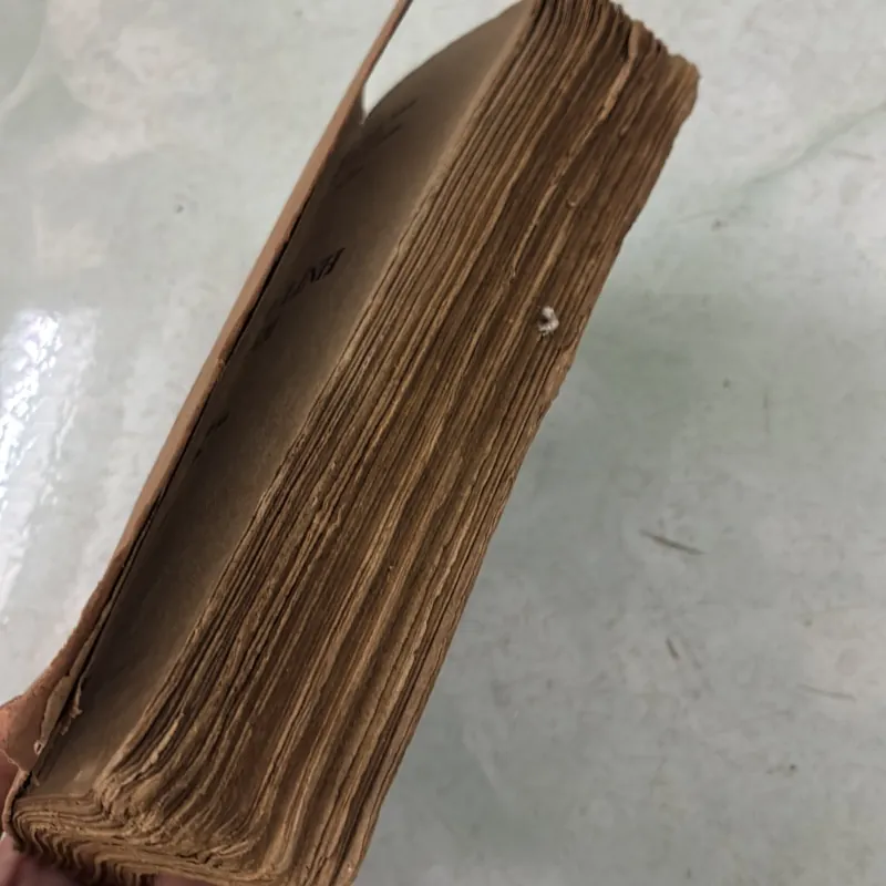 Ba chàng lính ngự lâm (Tập 1) 1031018