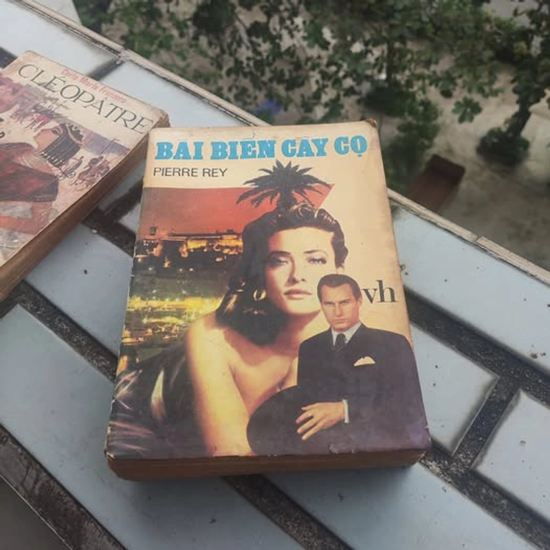 Bãi biển cây cọ - Pierre Rey (Sách bao cấp) 353181