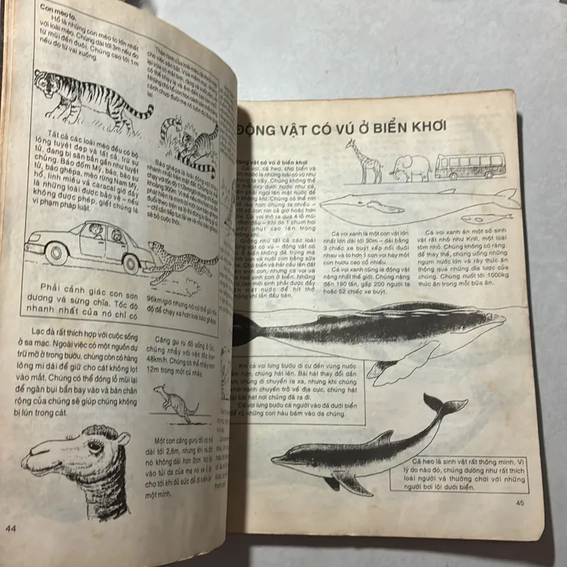 1000 kiến thức kỳ thú cho mọi người 791988