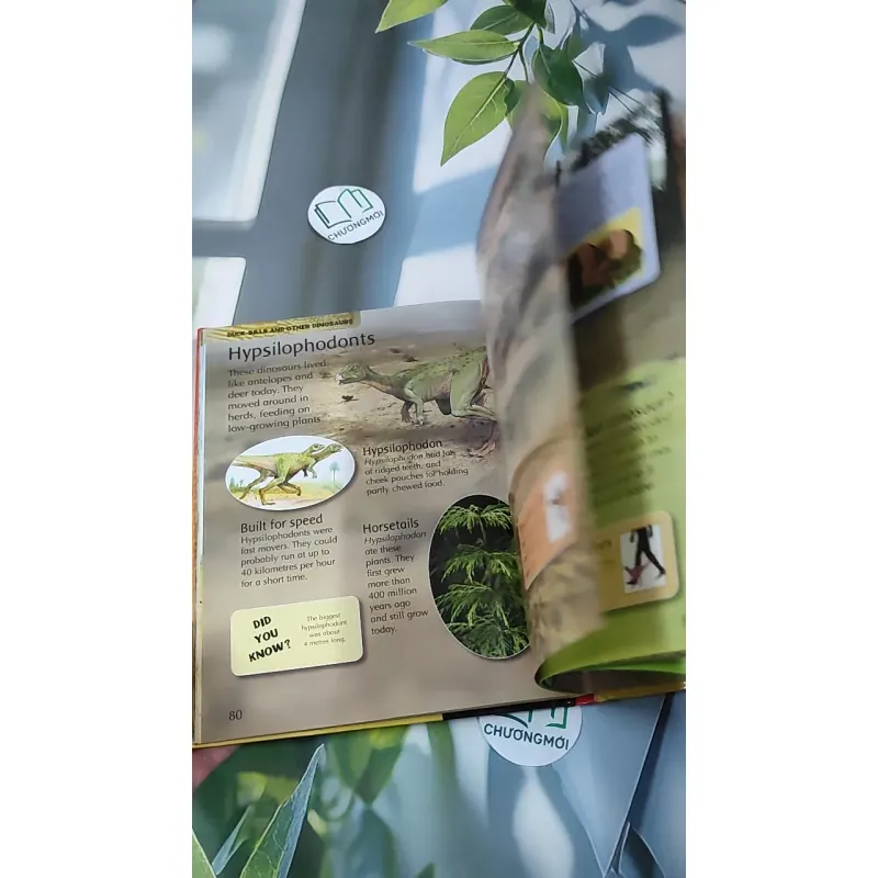 [MIỄN PHÍ BỌC SÁCH] Dinosaurs: Step into the world of the dinosaurs 990371