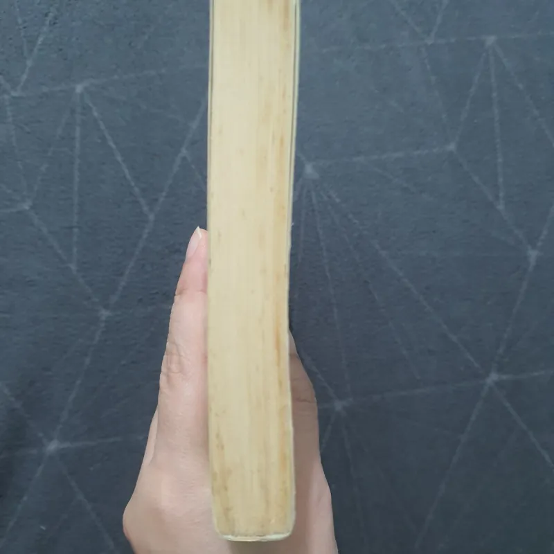 "Nếu biết trăm năm là hữu hạn" - Phạm Lữ Ân 797952