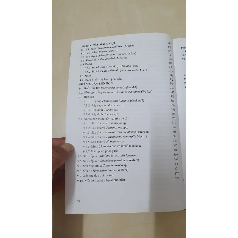 CÔN TRÙNG NHỆN GÂY HẠI CÂY ĂN TRÁI....  799628