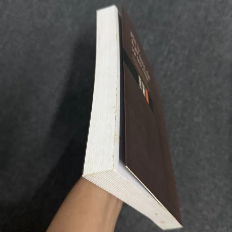 Phi lý hậu hiện đại và trò chơi - Cao Tố Nga, Đoàn Thanh Liêm, Phạm Thị Bình 936985